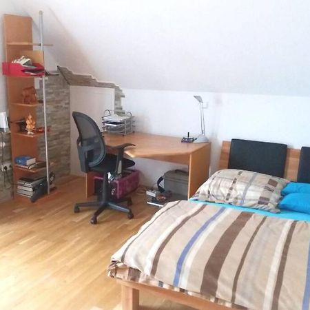 Neue, Helle Wohnung In Ludwigsburg, Nah Am Schloss エクステリア 写真