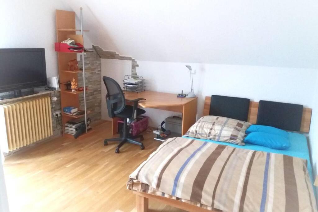 Neue, Helle Wohnung In Ludwigsburg, Nah Am Schloss エクステリア 写真